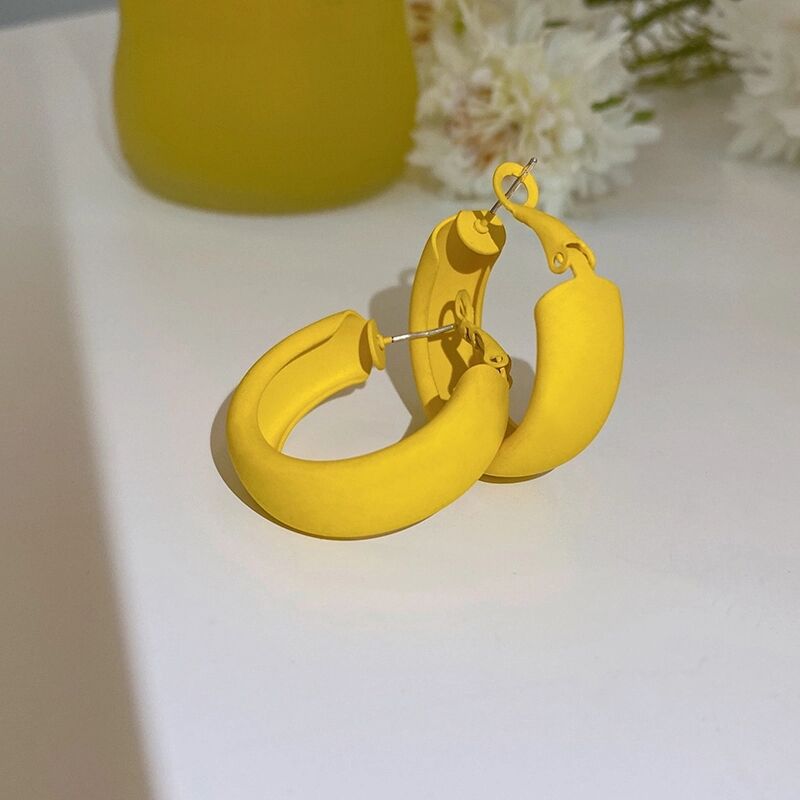 925 Silver Stud Earrings Geometric Earrings Macaron Color Summer Color Earrings  New Candy Color C Type Earrings Women