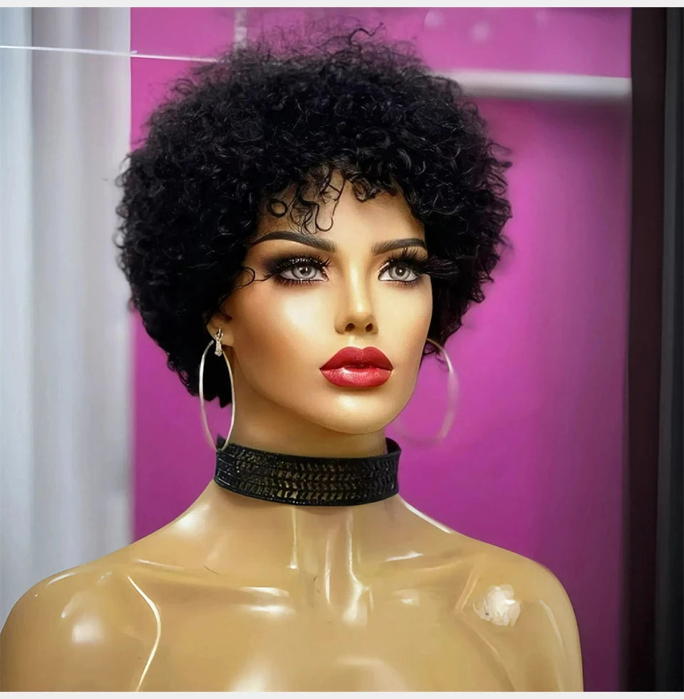 Large Bouncy Afro Kinky Curly Wigs